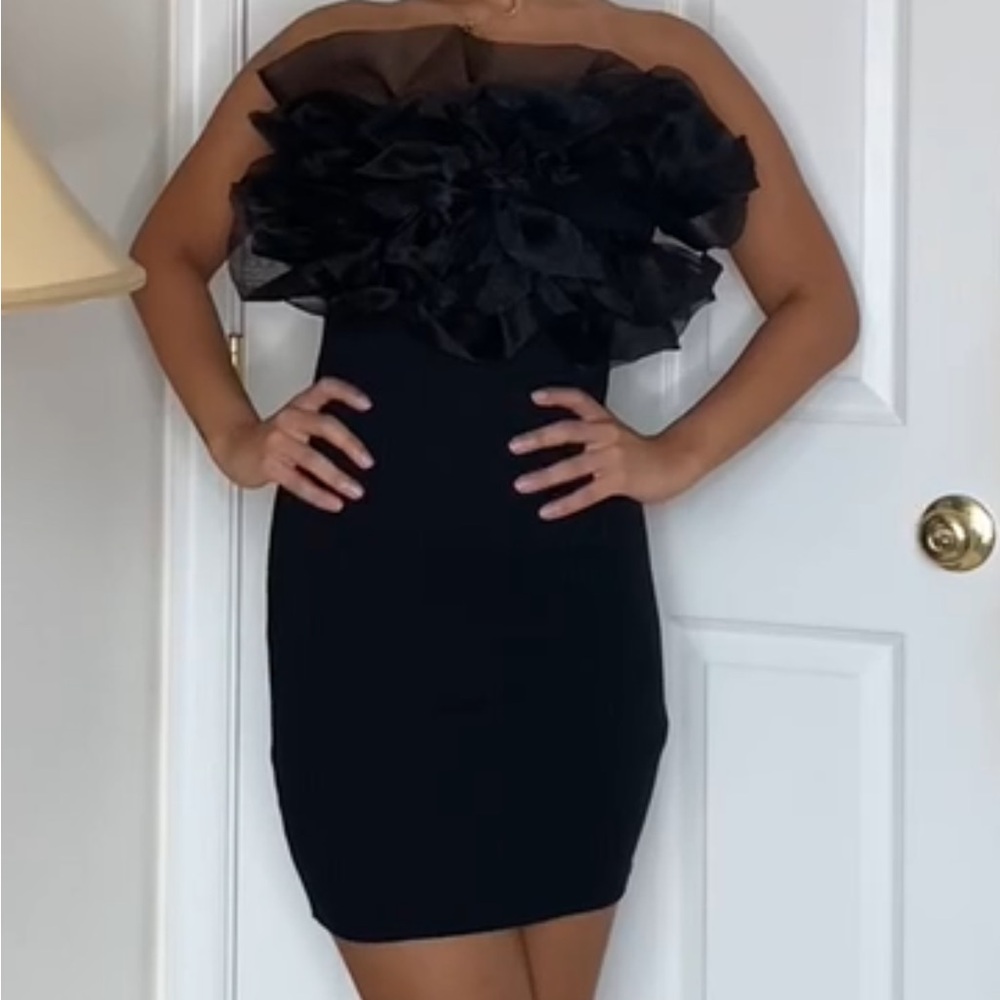Rib organza dress from Zara - Picture 3 of 3